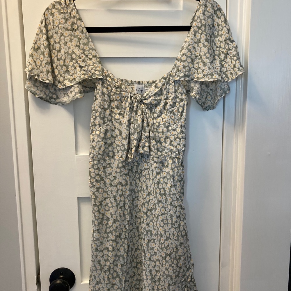 Princess Polly dress